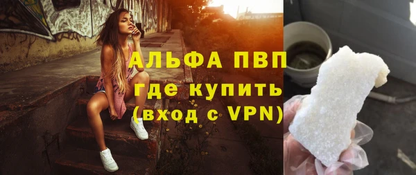 стаф Алексин