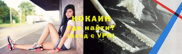 прущие грибы Покров