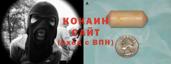 стаф Алексин