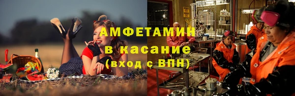 стаф Алексин