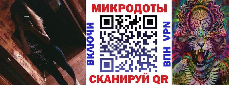 Псилоцибиновые грибы Psilocybe Карачев